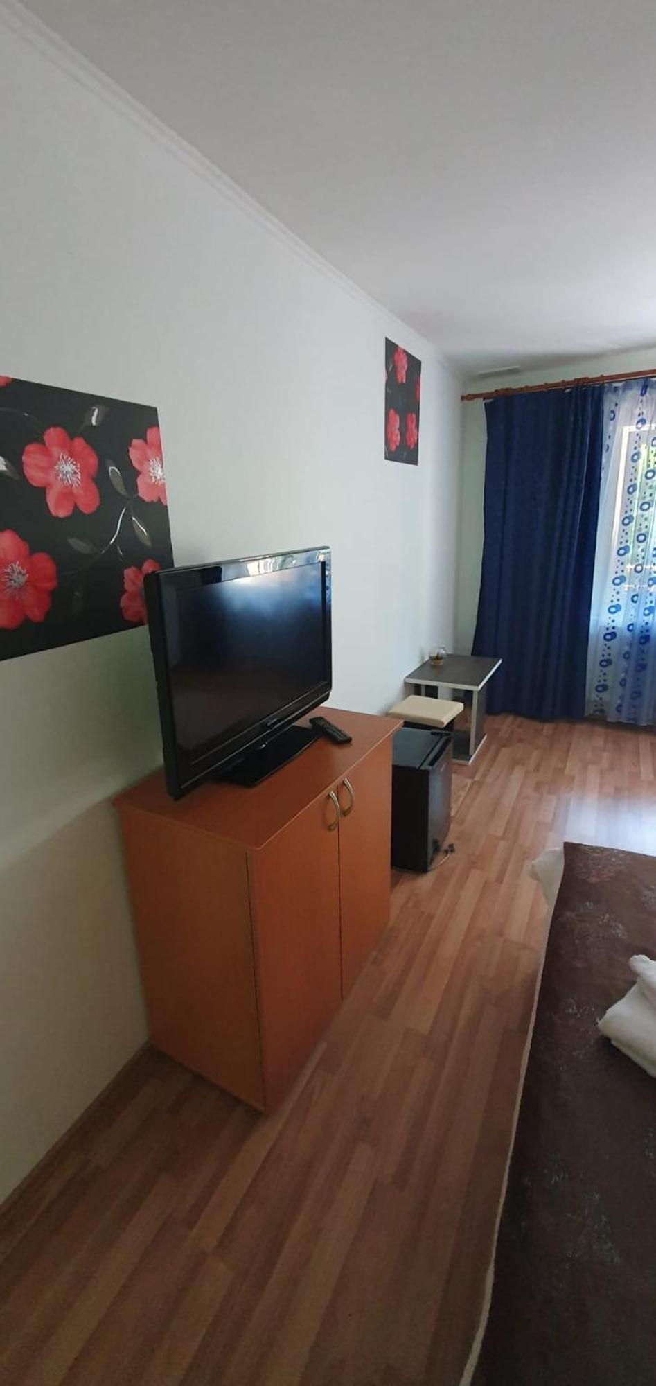 Pensiunea Flora Cîrţişoara Rom bilde