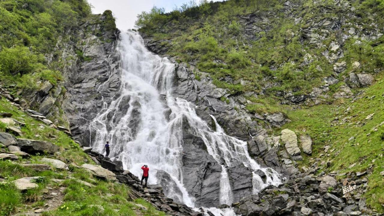 Pensiunea Flora Cîrţişoara Eksteriør bilde